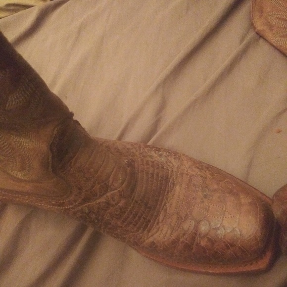 nocona boots Shoes - Cowgirl boots MUST GOOO nocona boots Shoes - Cowgirl boots MUST GOOO